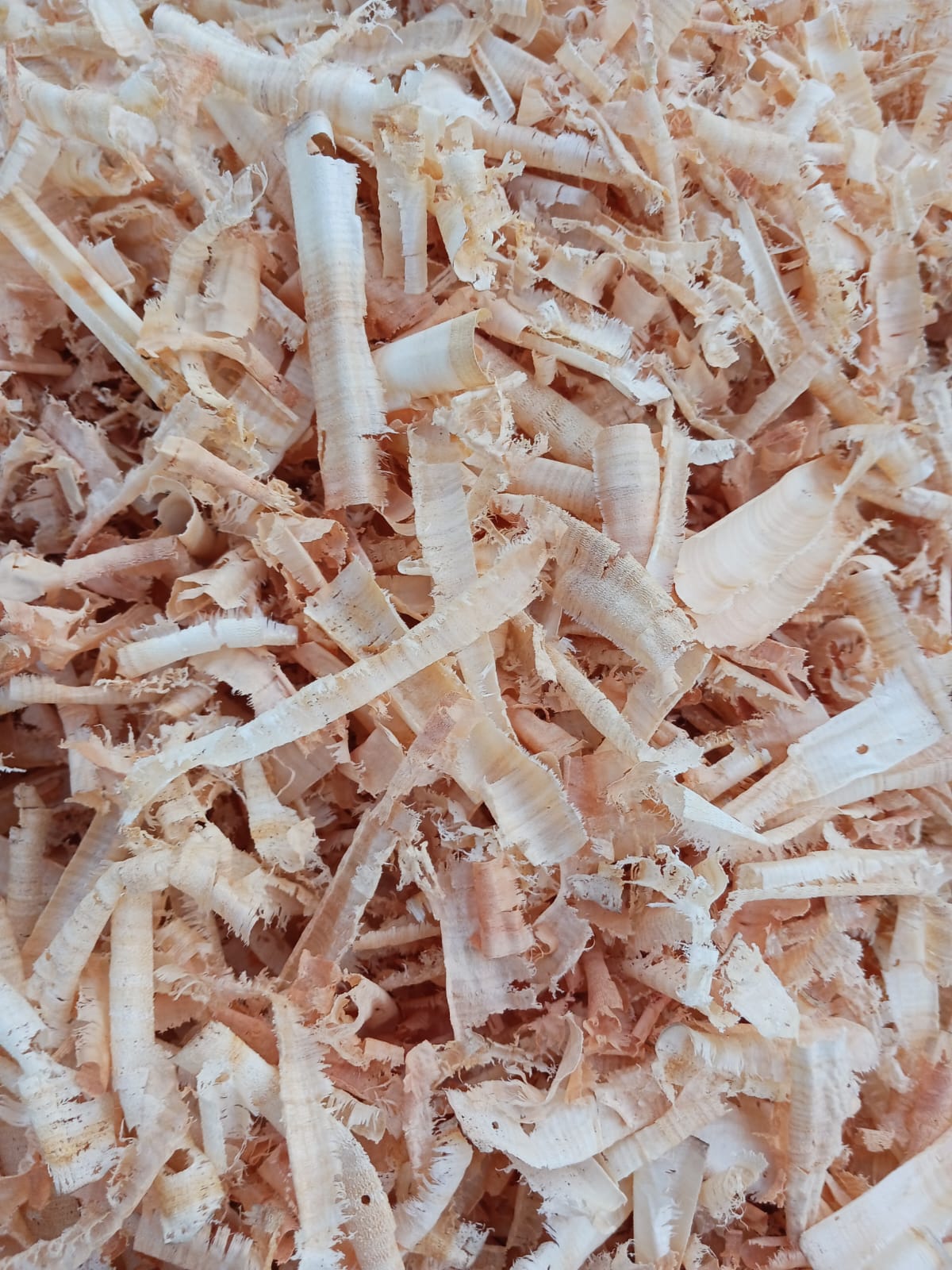 Horse bedding - Cavira UltraSoft Shavings 20kg